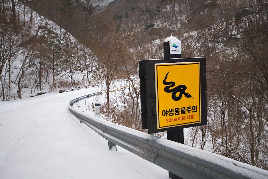 _D125082.jpg