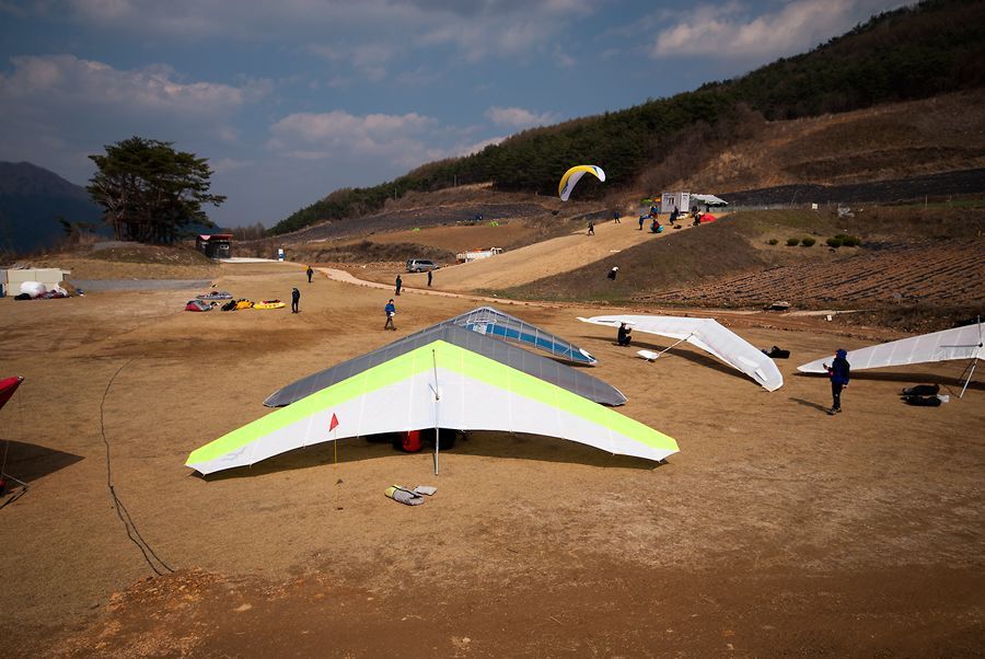 _D127464.jpg