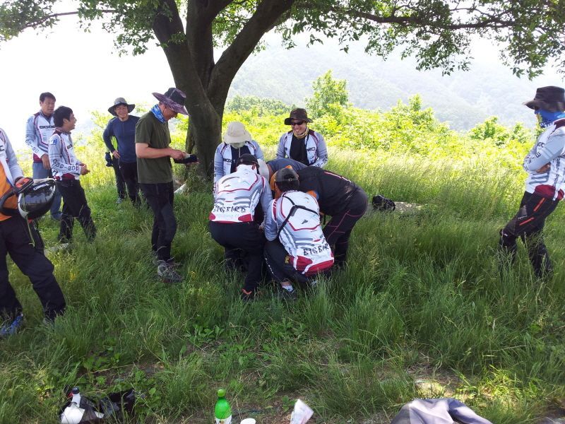 20120603_112801.jpg