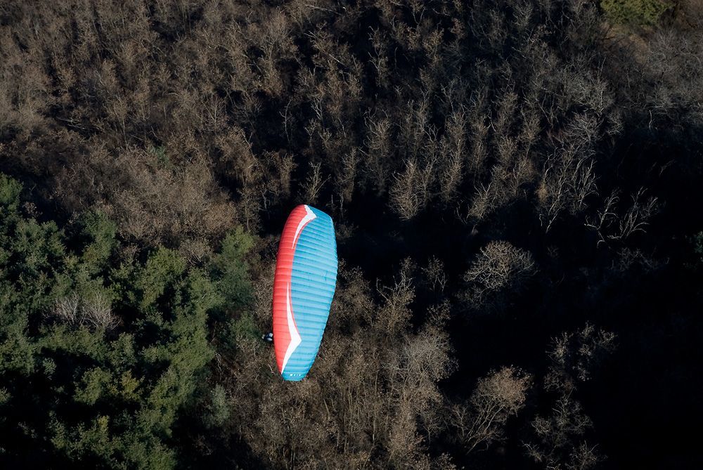 _D126050.jpg