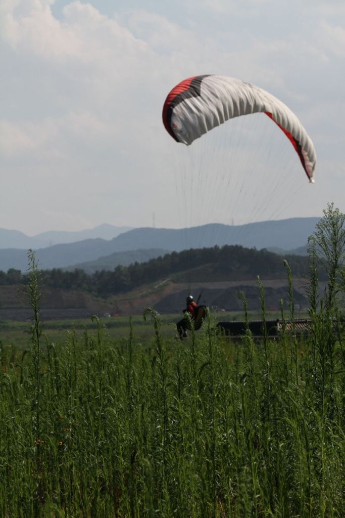 A-IMG_0537.JPG
