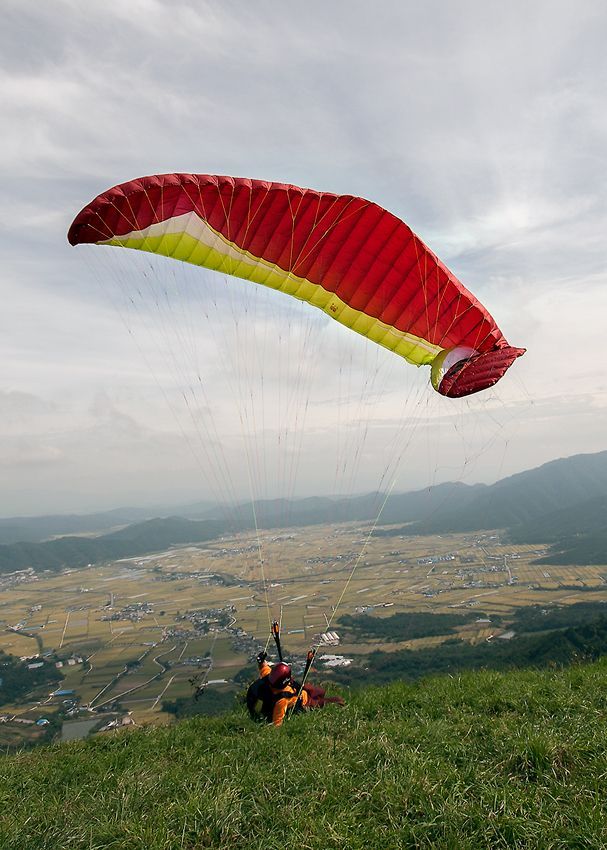_D132918.jpg