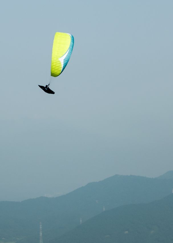 _D132392.jpg