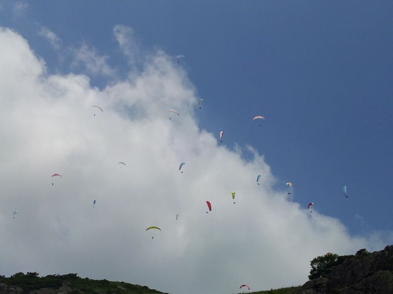 20120610_125602.jpg