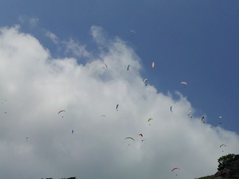 20120610_125559.jpg