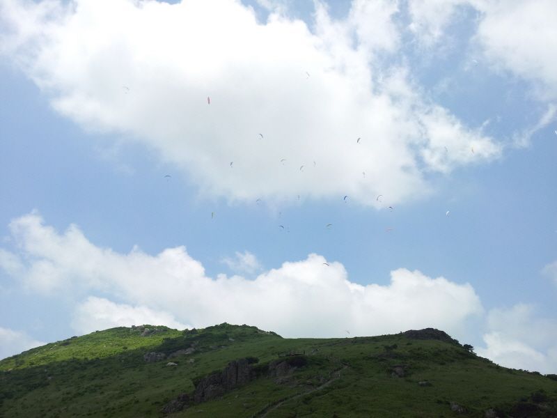 20120610_125937.jpg