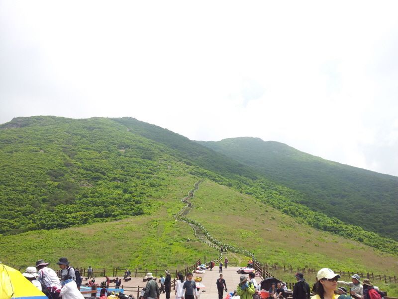 20120610_130916.jpg