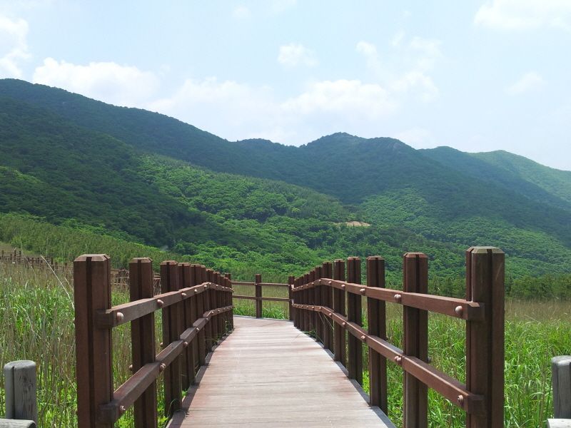 20120610_125152.jpg