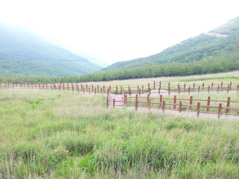 20120610_130430.jpg