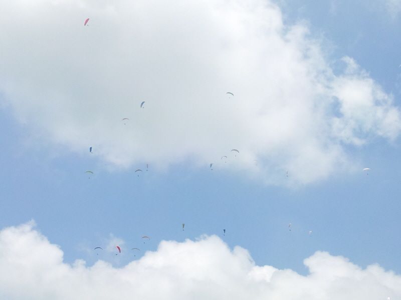 20120610_125957.jpg