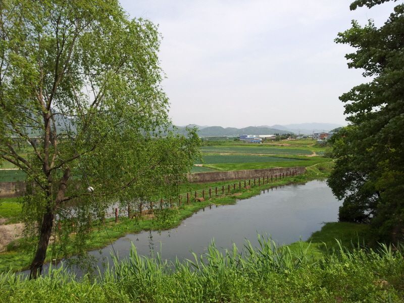 2012-05-05 13.59.57.jpg