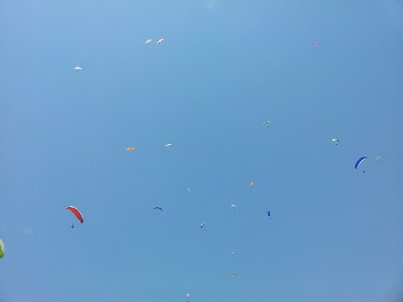 2012-05-06 13.31.17.jpg