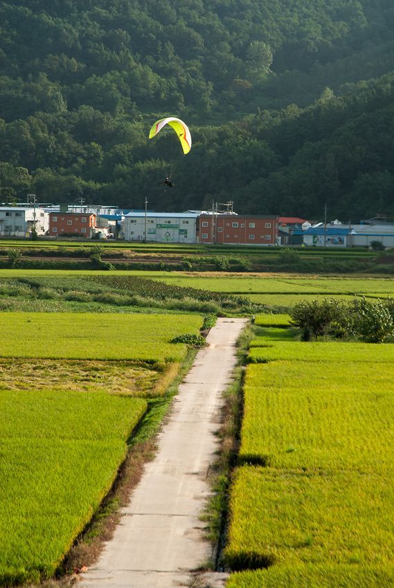 _D132513.jpg