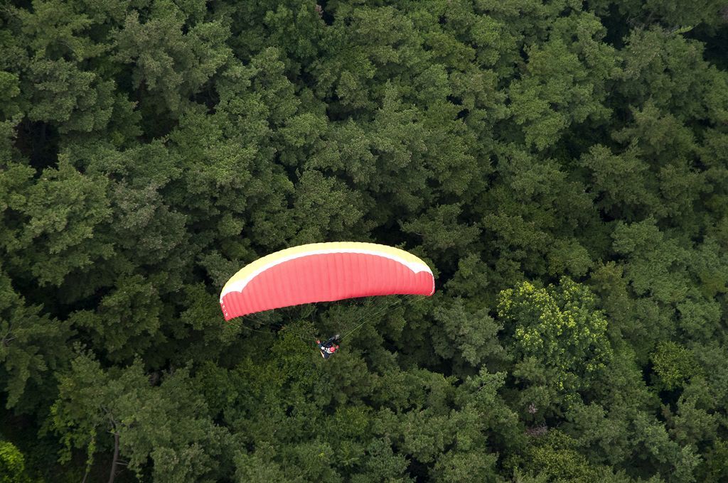 _D156061.jpg