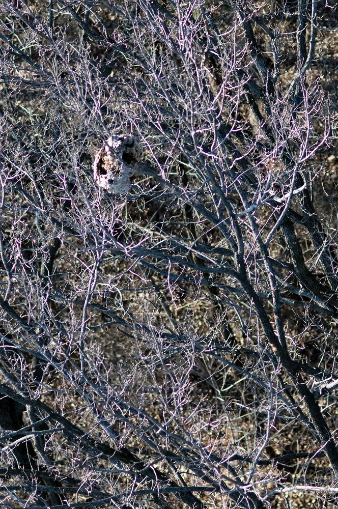 _D151084.jpg