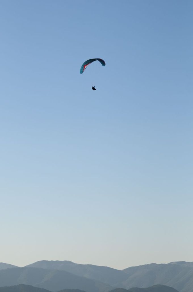 _D150656.jpg