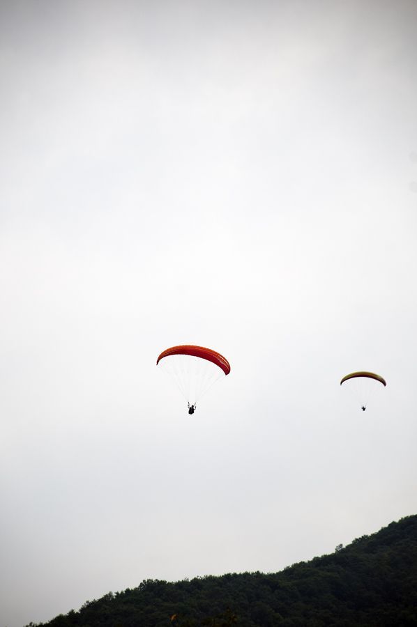 _D157298.jpg