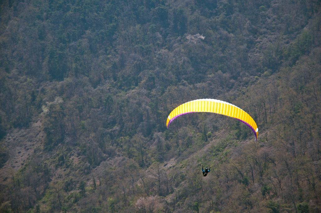 _D153085.jpg