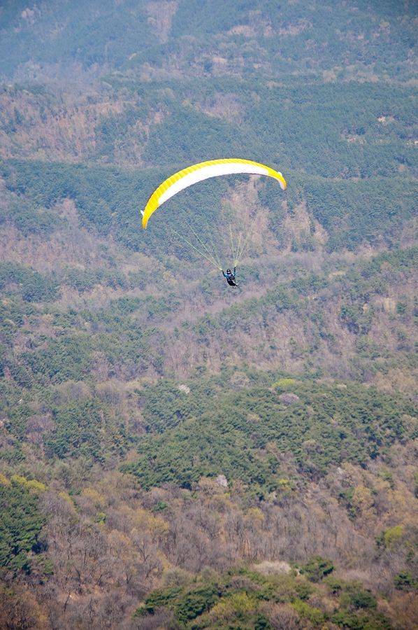 _D153081.jpg
