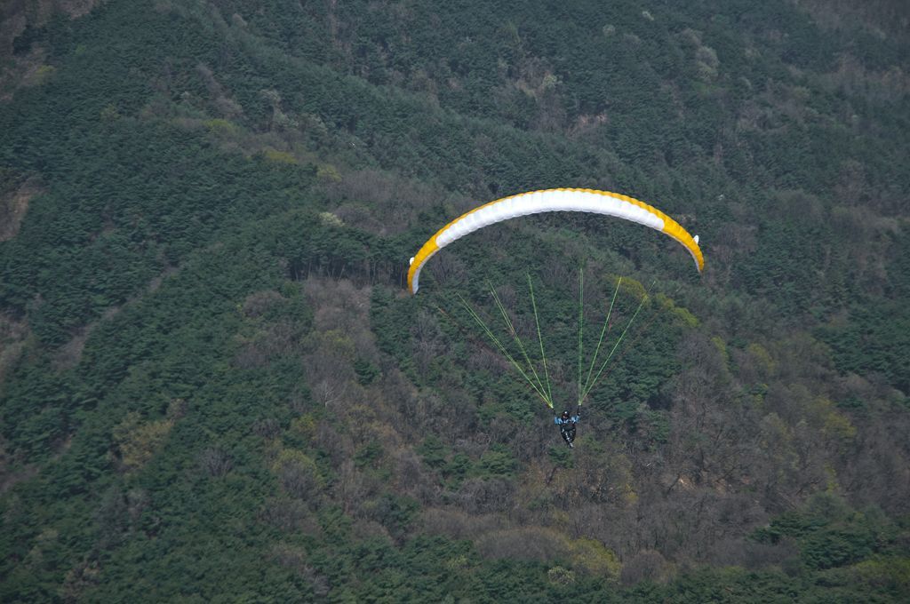 _D153083.jpg