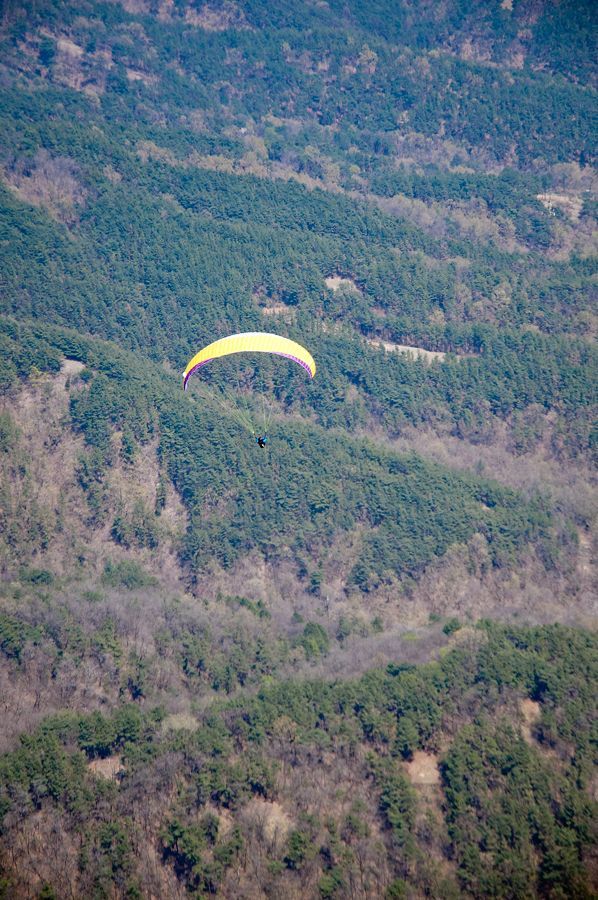 _D153077.jpg