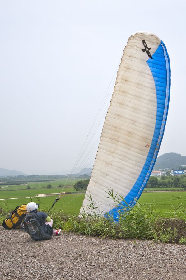 _D155937.jpg