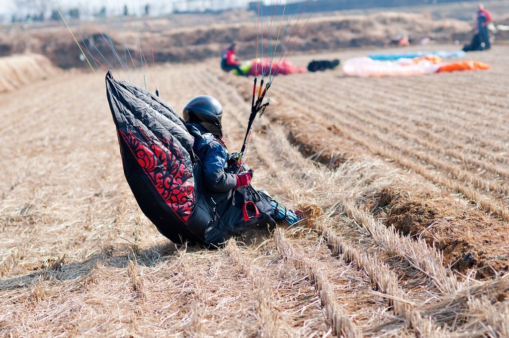 _D150531.jpg