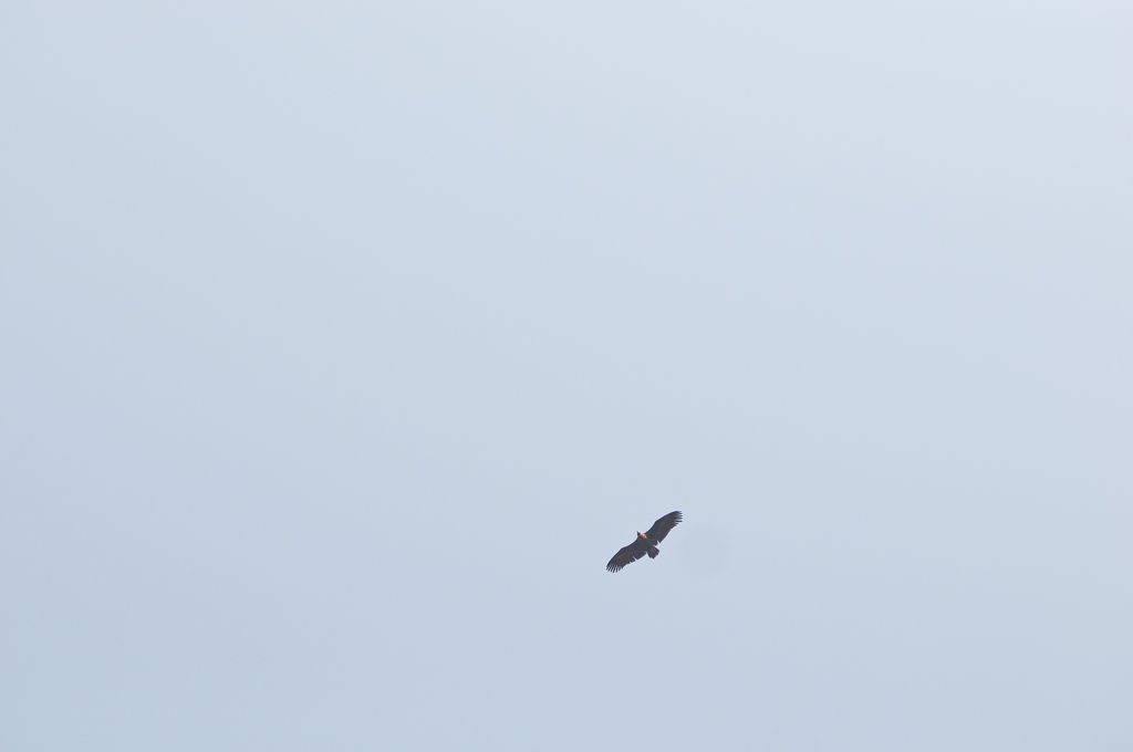_D150543.jpg