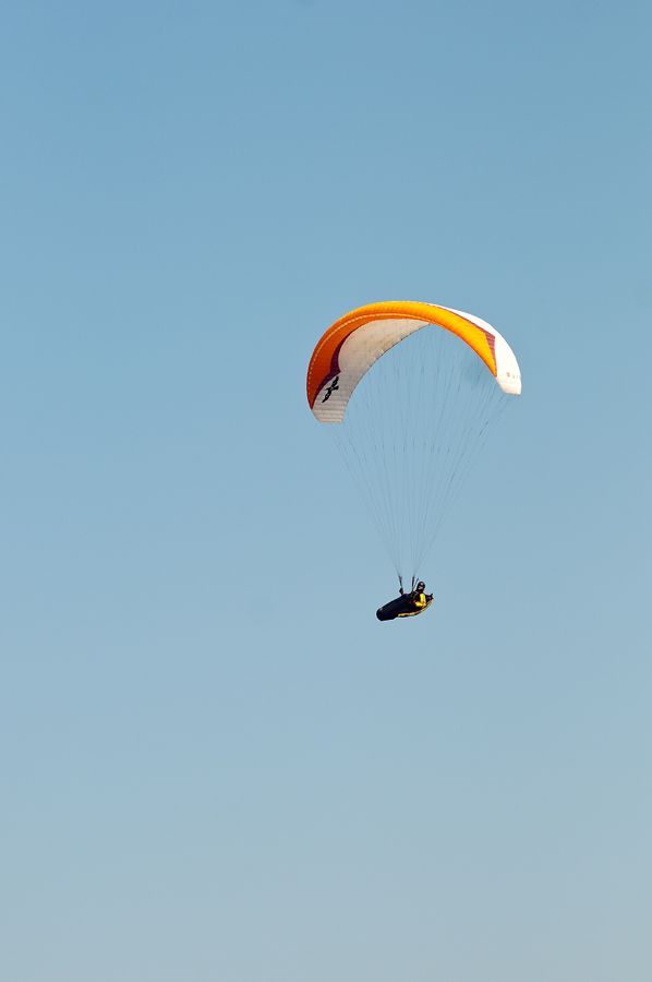 _D150513.jpg