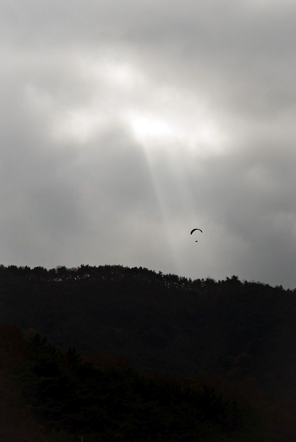 _D148111.jpg