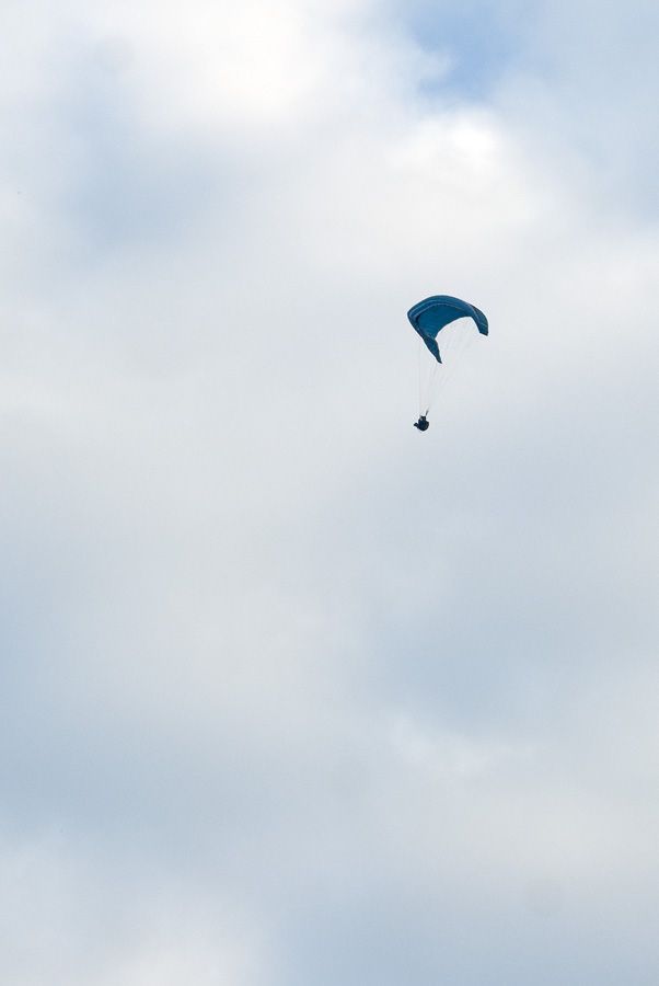 _D148169.jpg