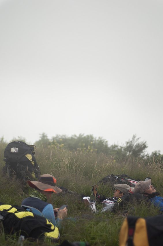 _D305274.jpg