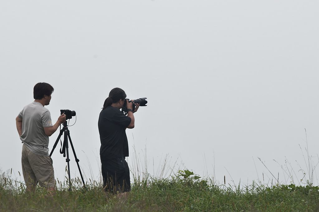 _D305209.jpg
