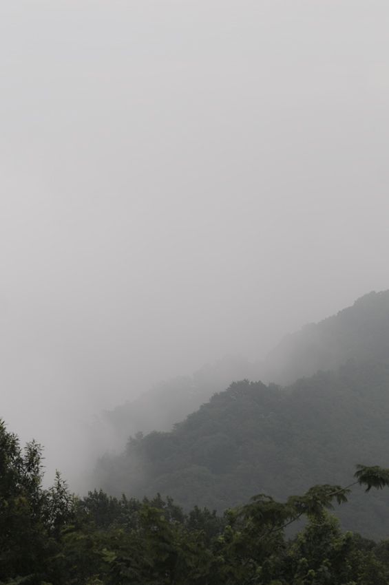 _D305184.jpg