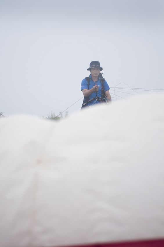 _D305265.jpg