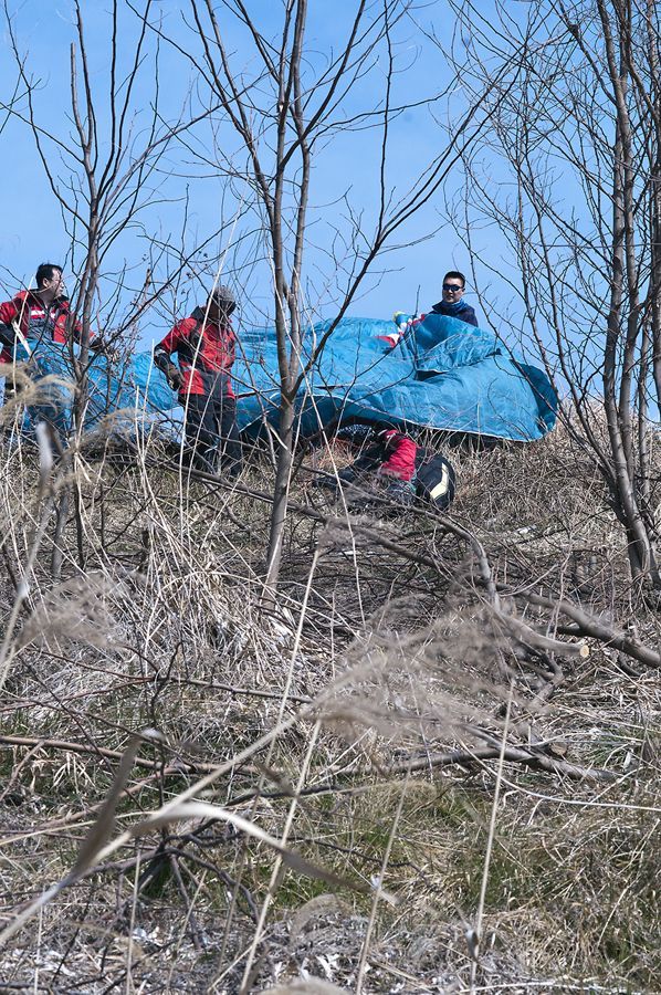 D15_7042.jpg