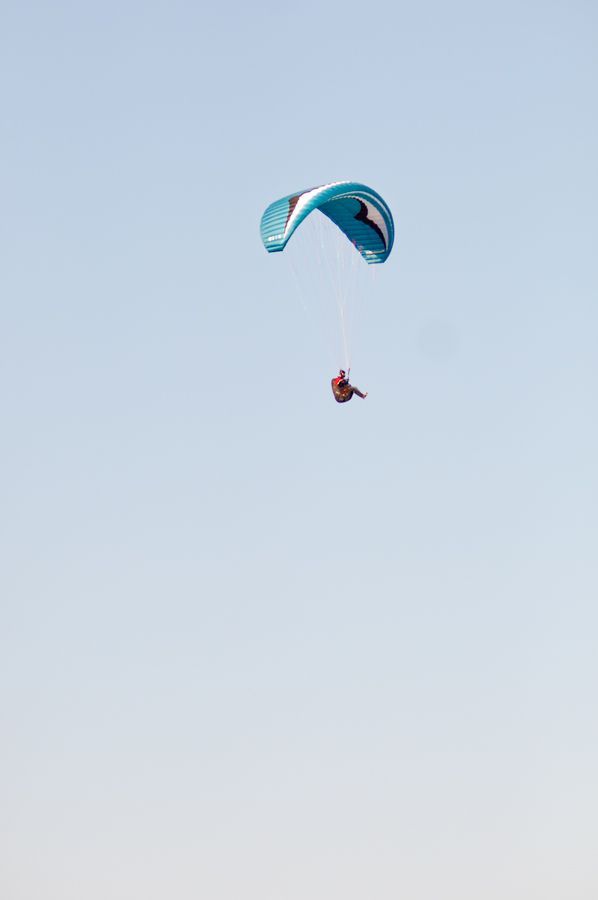 _D150616.jpg