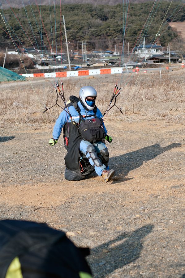 _D150667.jpg