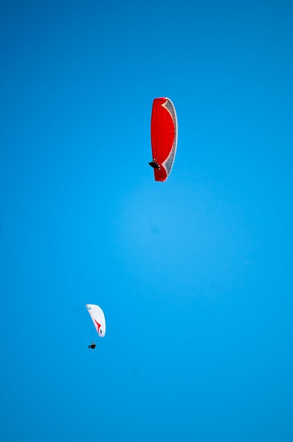 _D302166.jpg