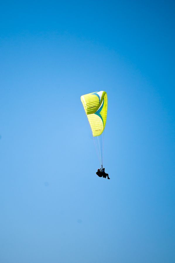 _D302149.jpg