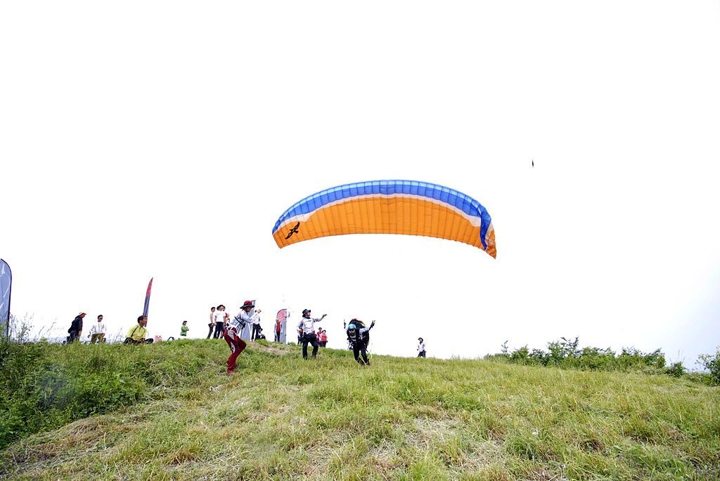 _D146383.JPG