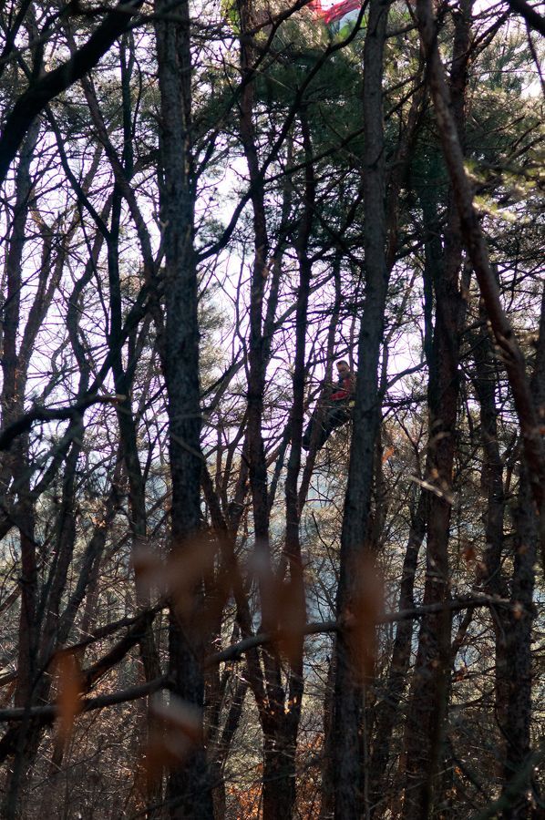_D151401.jpg