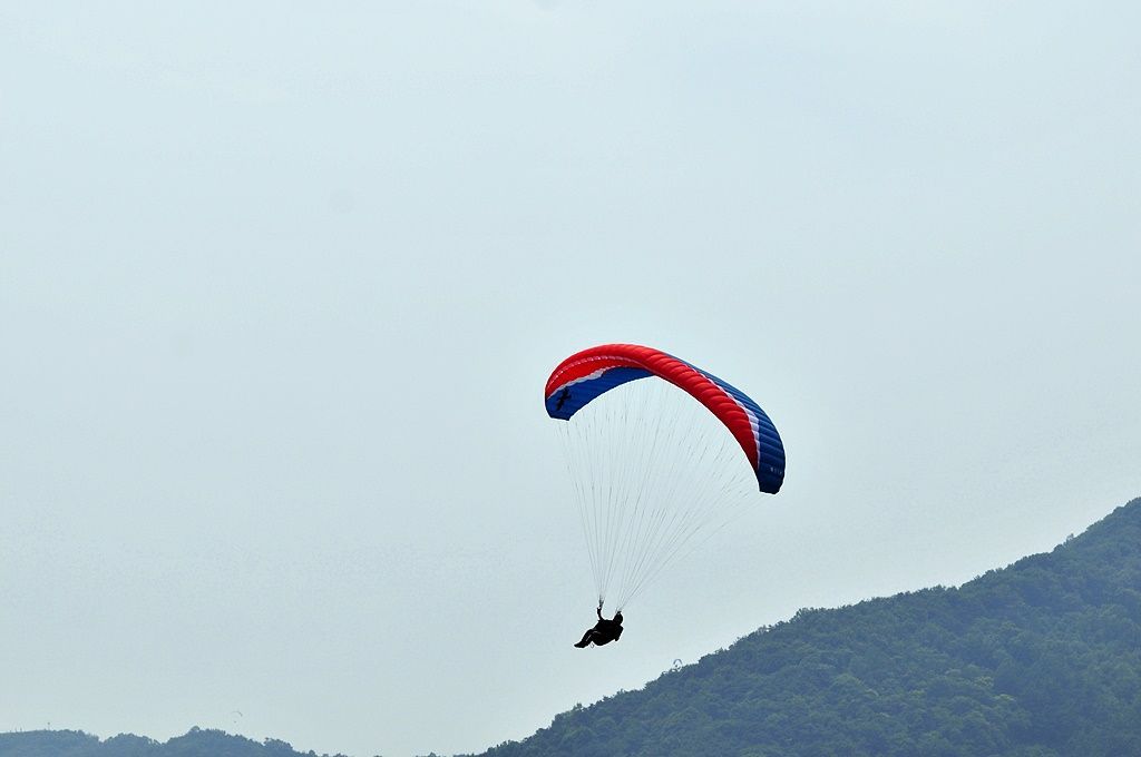 _D302609.JPG