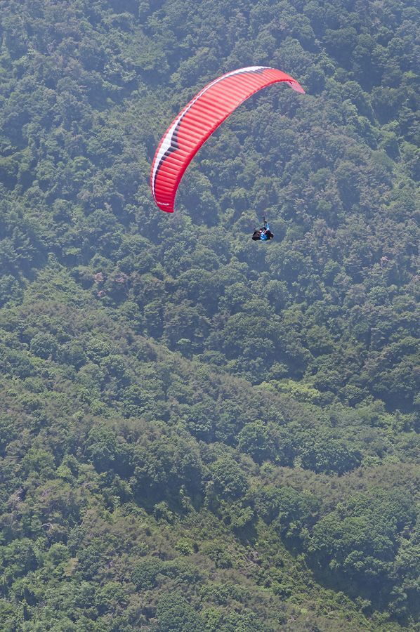 D17_9607.jpg