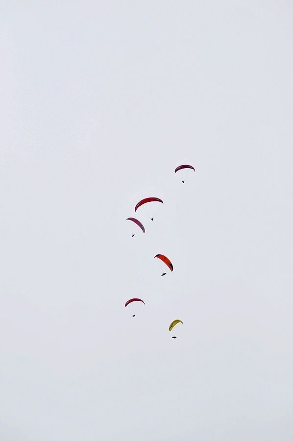 _D302685.JPG