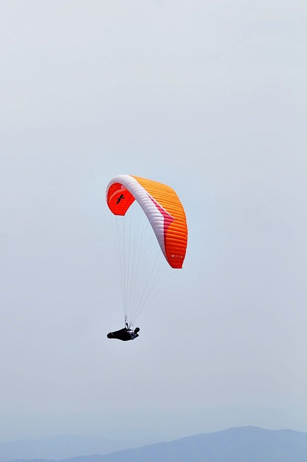 _D302627.JPG