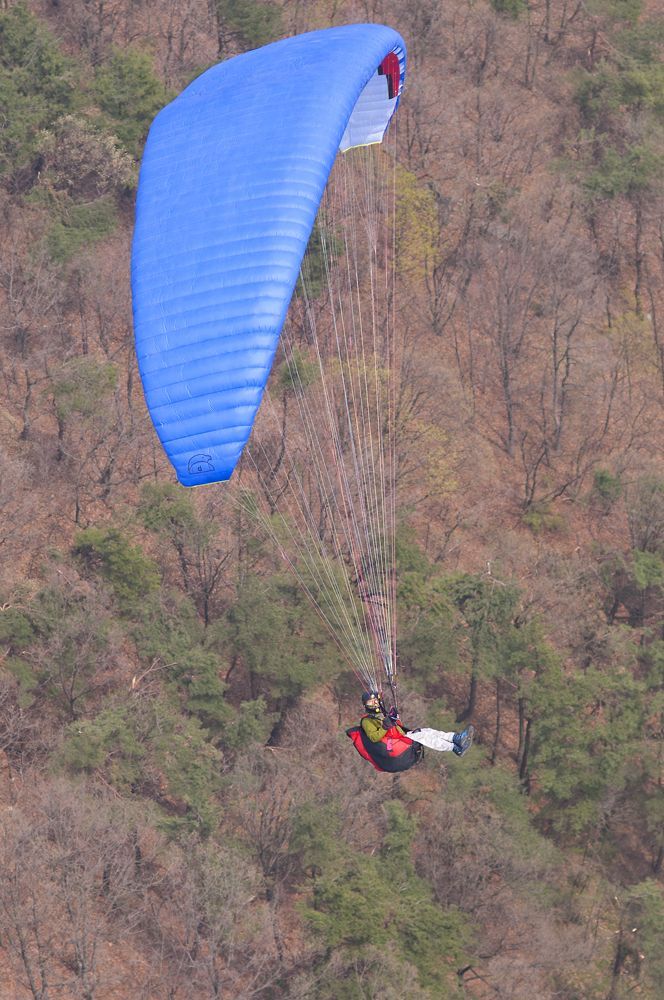 D15_3574.jpg