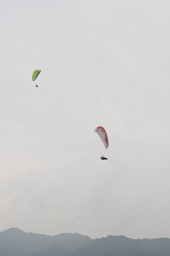 _D305344.jpg