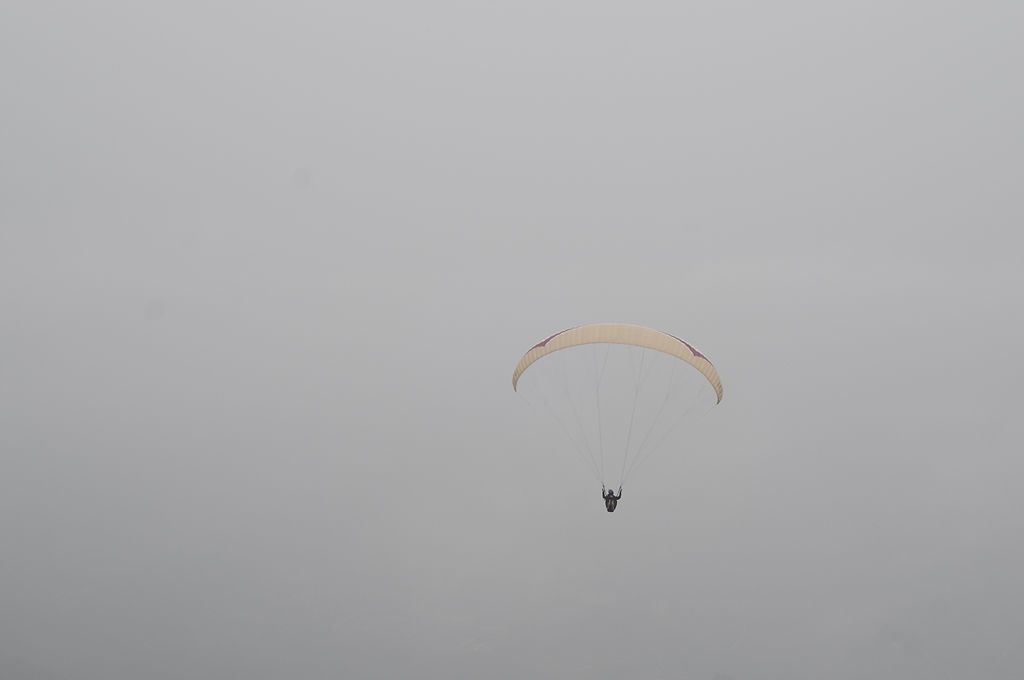 _D305294.jpg