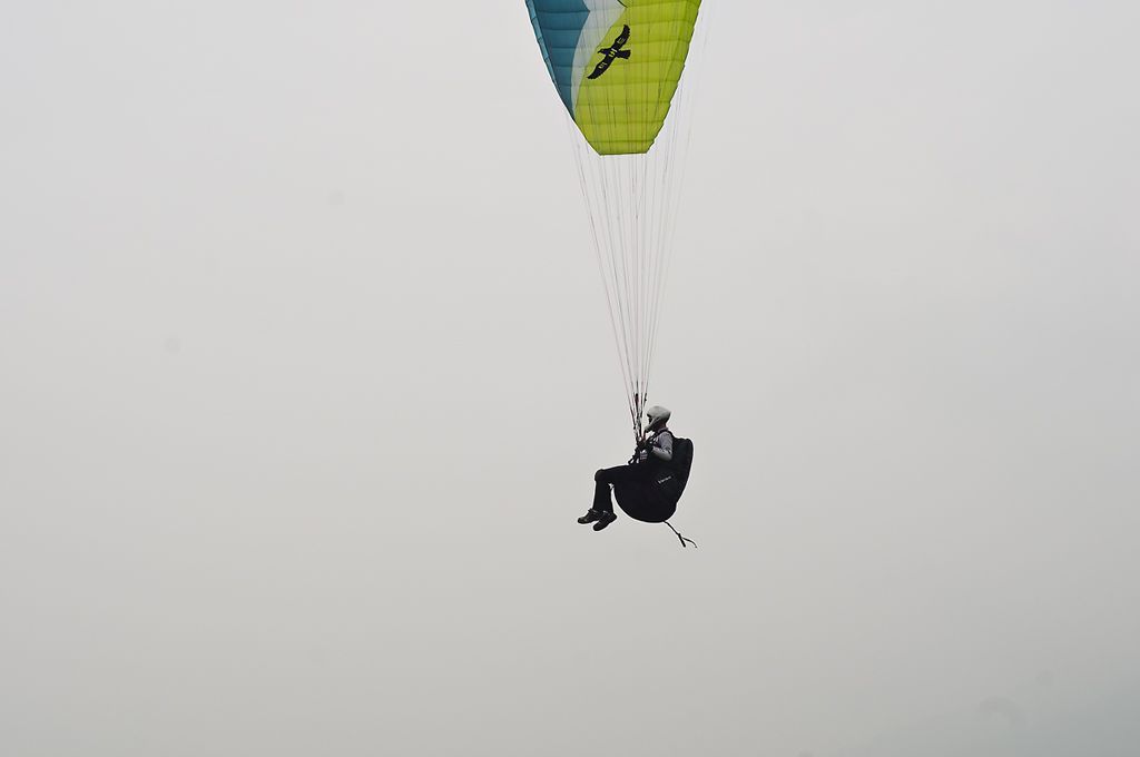 _D305329.jpg